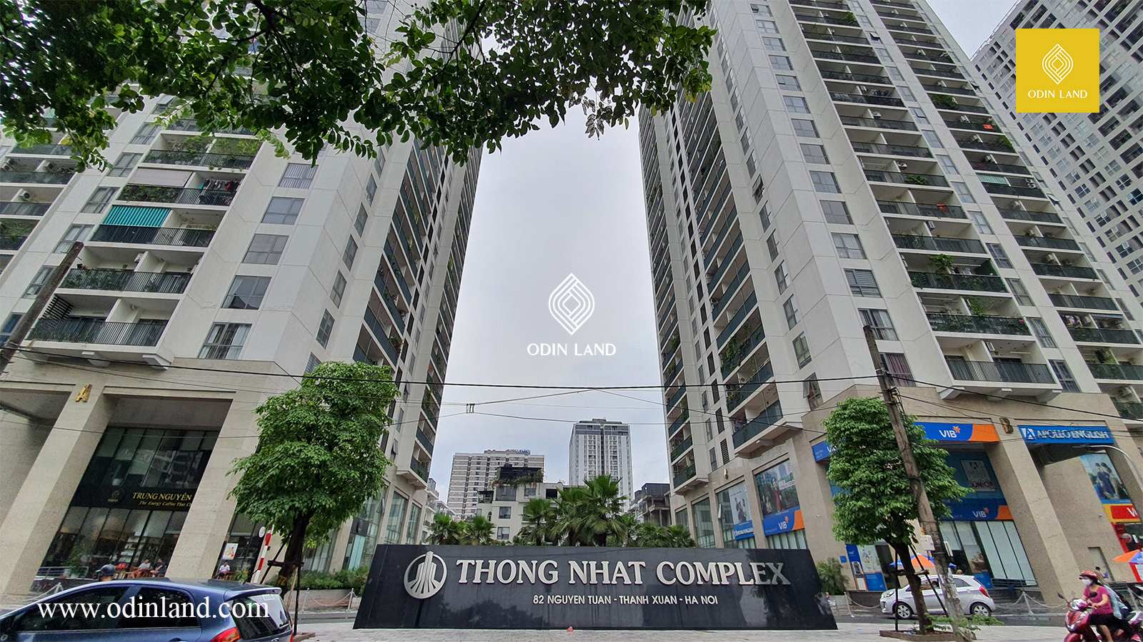 Mat Bang Cho Thue Toa Nha Thong Nhat Complex 8