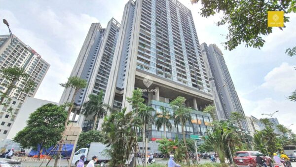 Mat Bang Cho Thue Toa Nha Dolphin Plaza 12