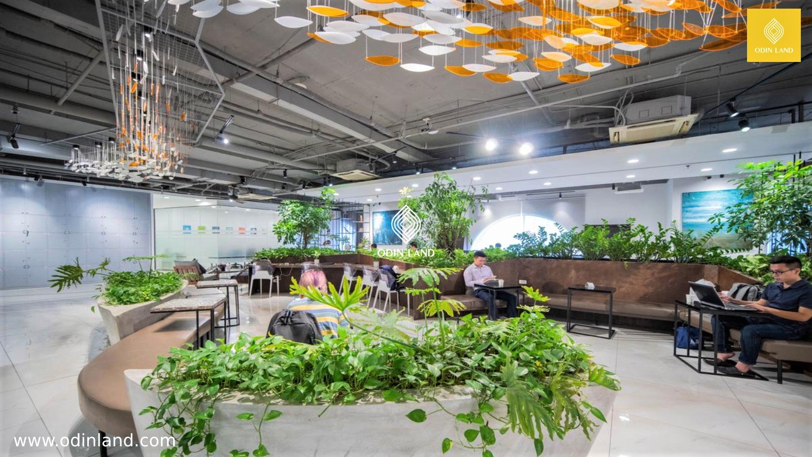 Văn Phòng Chia Sẻ Y-Nest Coworking Space | Odin Land ✓