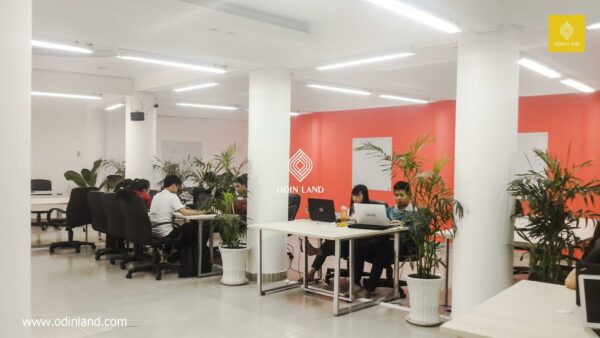 Itp Office 1 Result
