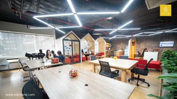 Mindx Hoang Dao Thuy (2)