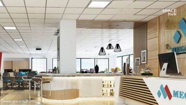 megashare coworking space