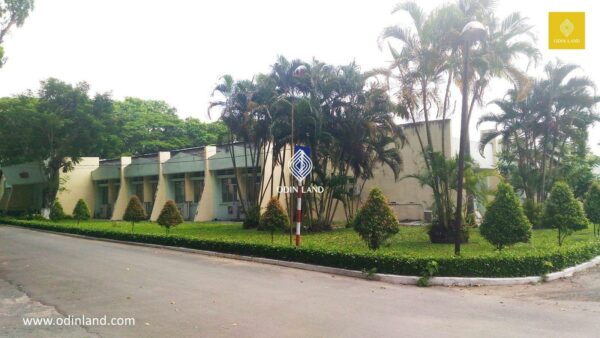 toa nha hall no.5 1
