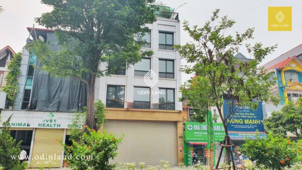 466 lac long quan (1)