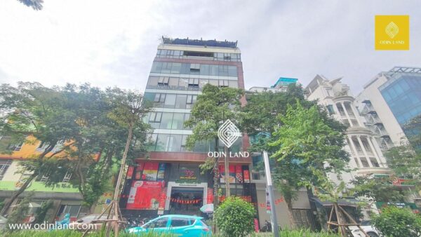 tòa nhà 555 lạc long quân (2)