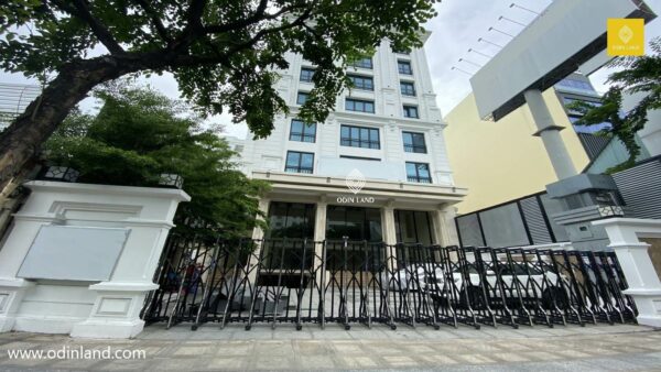toa nha tle building (4)