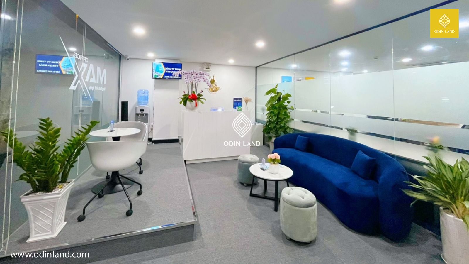 max office (1)