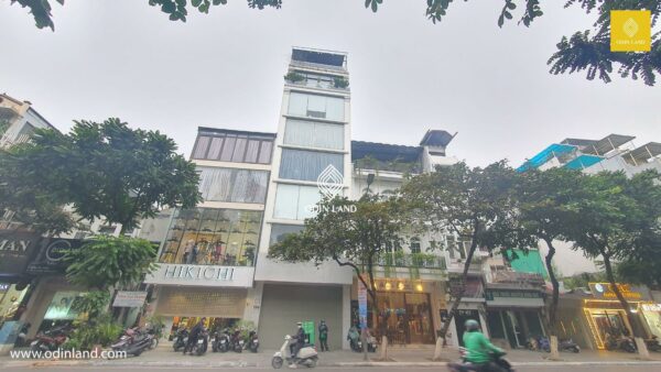 Tòa nhà 194 Phố Huế