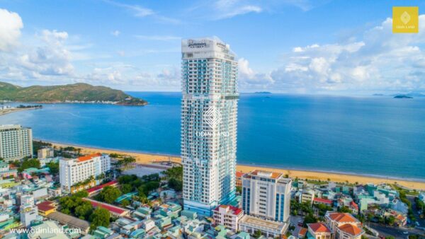 toa nha tms quy nhon (2)