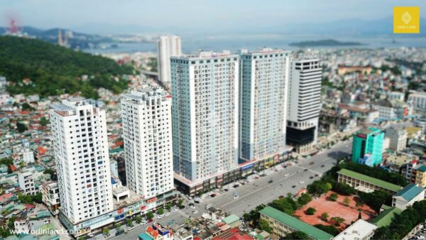 toa nha tran hung dao plaza (2)