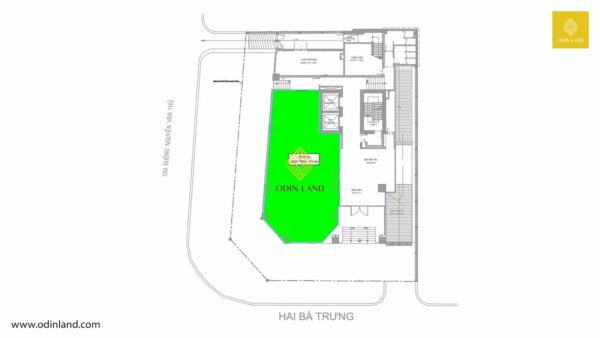 toa nha tsm building (3)